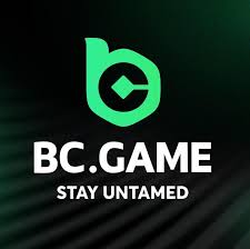 Exploring BC.Game Japan A New Era of Online Gaming